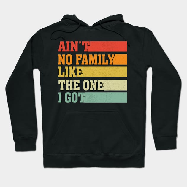 Ain't No Family Like The One I Got Funny Family Saying Hoodie by Emily Ava 1